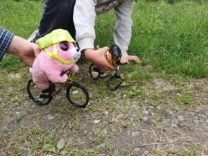 Two toys riding crafted bicycles.